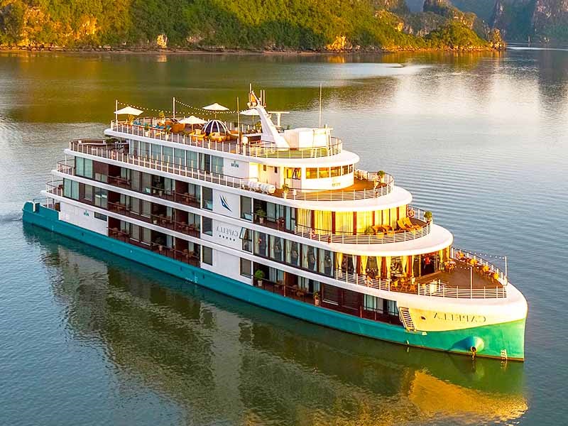 Capella Cruise - 3 Days 2 Nights