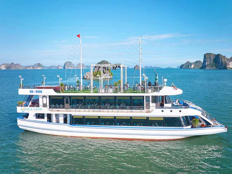 Sea Lion Cruise - 1 Day Tour