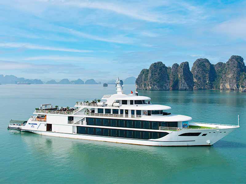 Sea Octopus Cruise - 1 Day Tour